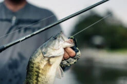 Temple Fork Outfitters Tactical Elite Bass Baitcasting Rods 17 Temple Fork Outfitters Tactical Elite Bass Baitcasting Rods -Fishing Sale Shop tfo tactical elite bass bottom banner lifestyle 5 1